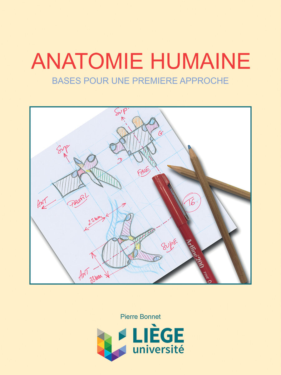 Page couverture de Anatomie humaine