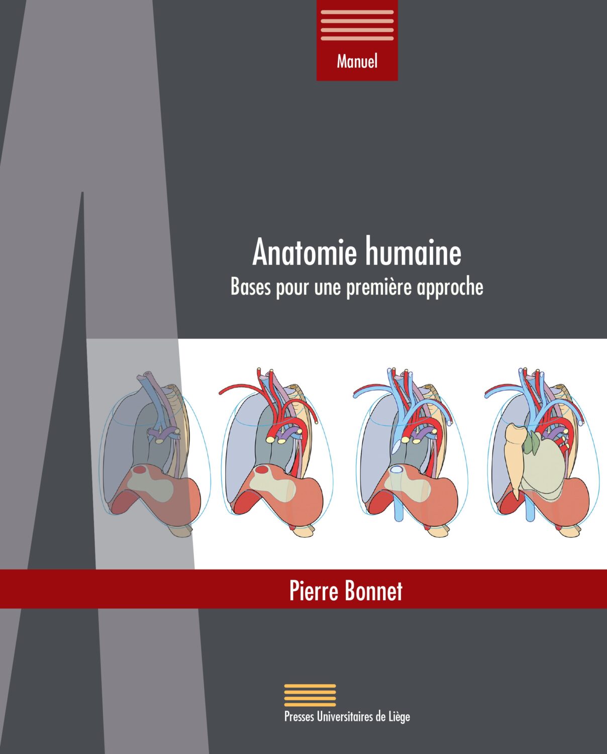 Page couverture de Anatomie humaine